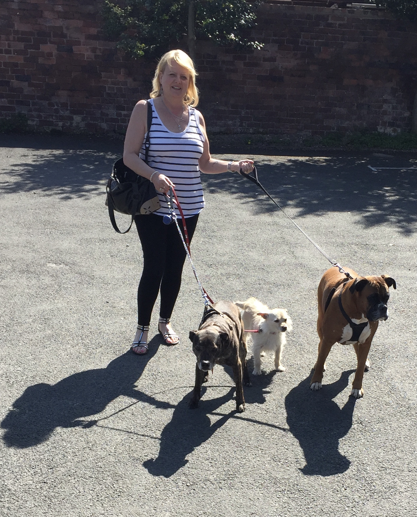 Walking to my birthday for Worcestershire Breast Unit Haven