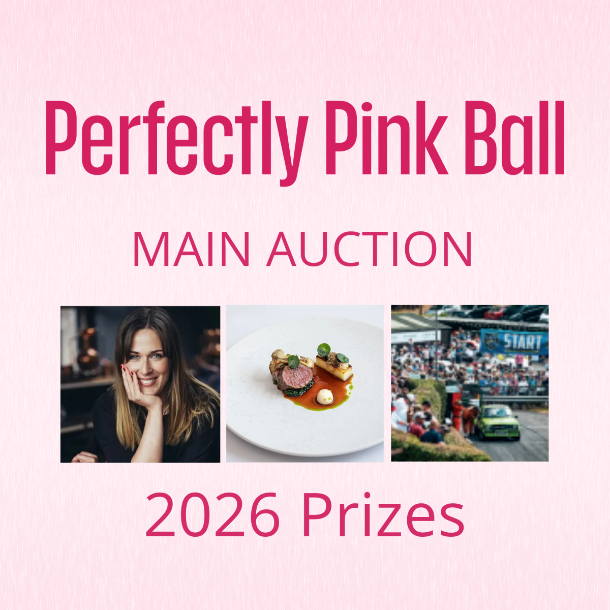 Perfectly Pink Ball Auction Prizes
